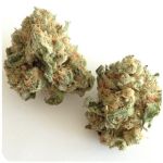 Шишки "White Widow"  (Белая вдова)  Гидропоника -  Бошка VHQ в Алуште